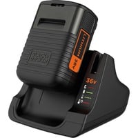 Ladegerät + Akku BDC2A36-QW