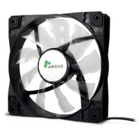 Argus L-12025 120x120x25mm