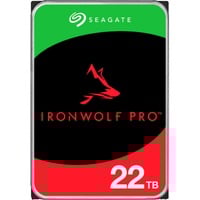 IronWolf Pro NAS 22 TB CMR