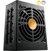 Rebel P20 SFX 1000W