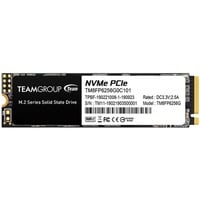 MP33 256 GB