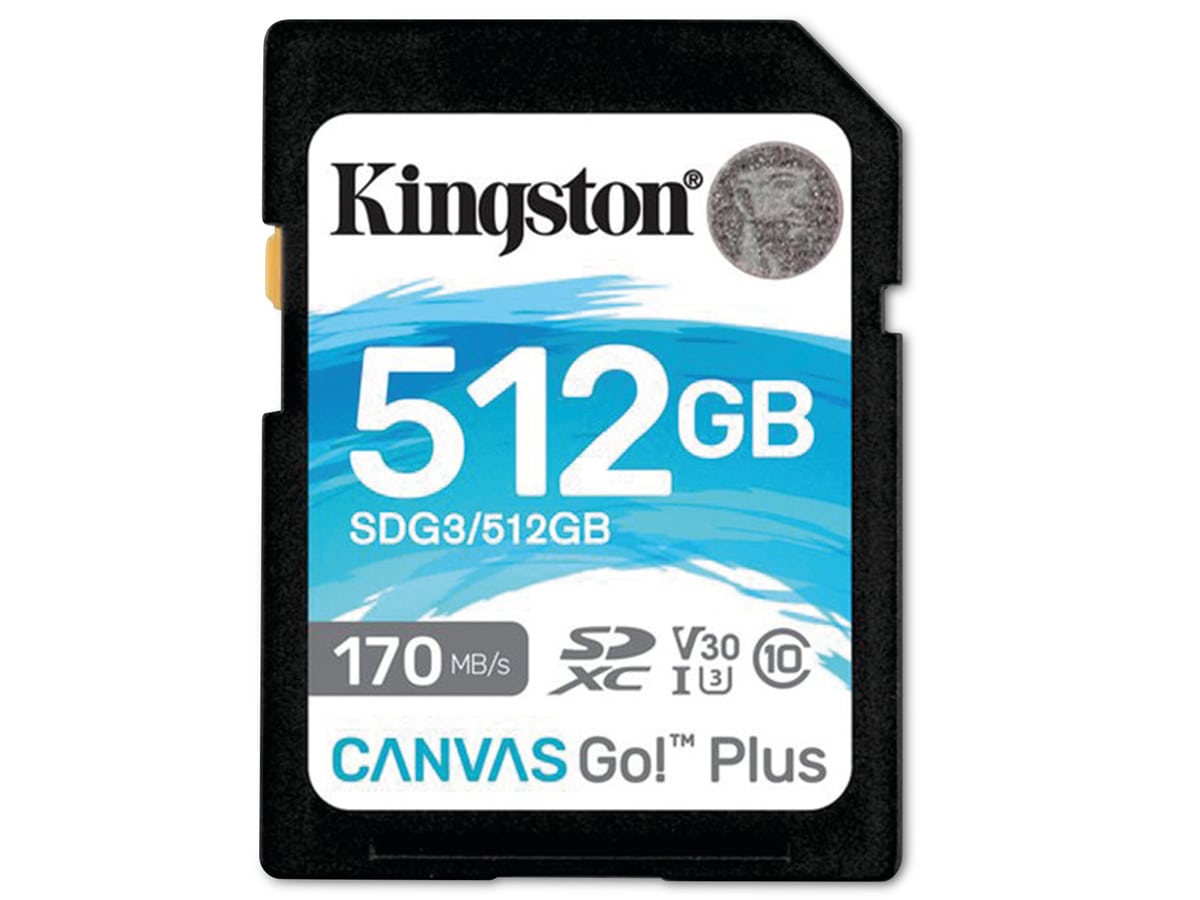 KINGSTON SD-Card Canvas GO!