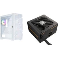 MarbleShell MS31 RGB + Marblebron II 650W