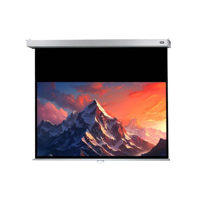 celexon Leinwand Rollo Professional Plus 220 x 124 cm