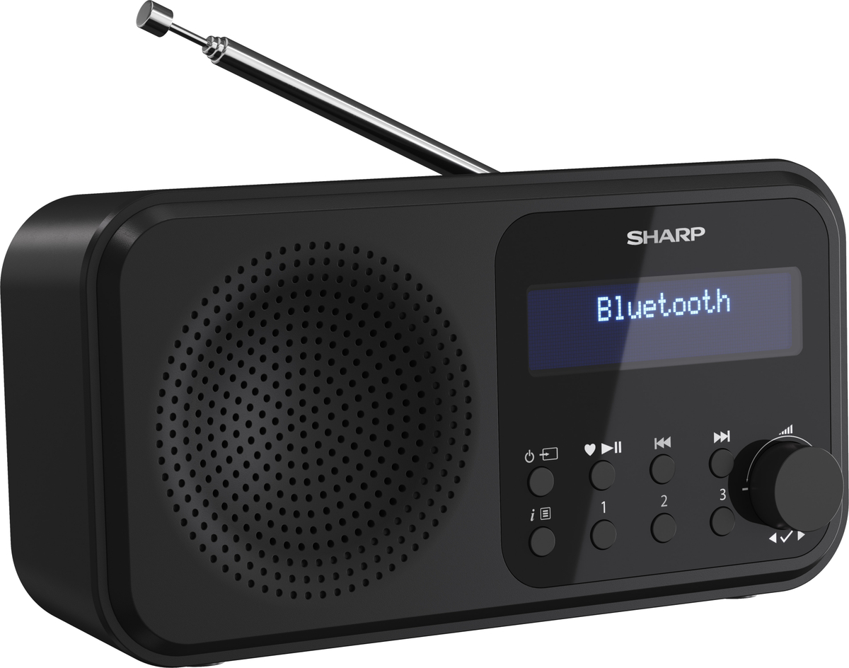 SHARP Digitalradio-tragbar DR-P420