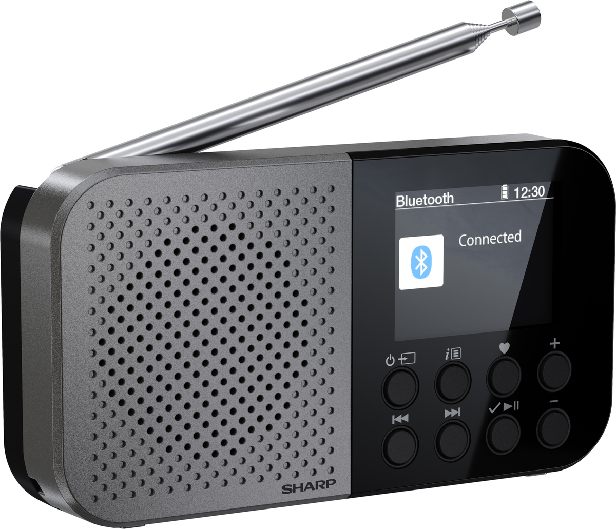SHARP Digitalradio-tragbar DR-P520